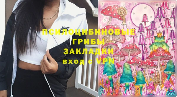 экстази Михайлов